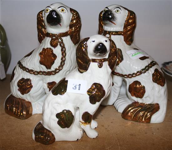 Three Staffordshire copper lustre spaniels